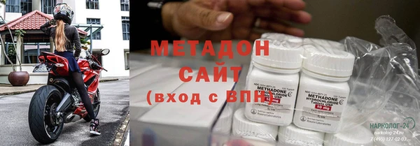 прущие грибы Бронницы