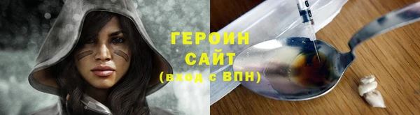 индика Бородино