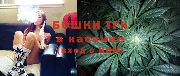 прущие грибы Бронницы