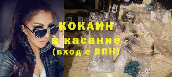 индика Бородино