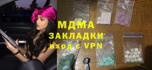 индика Бородино