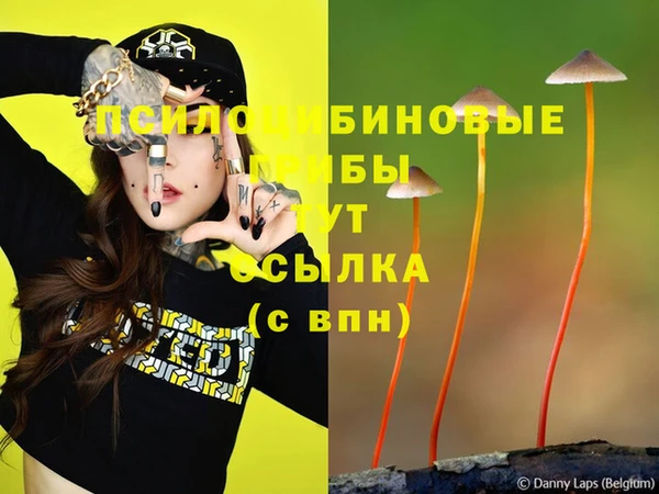 молекула духа Верхний Тагил