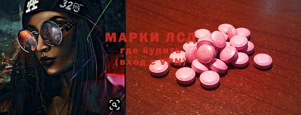индика Бородино