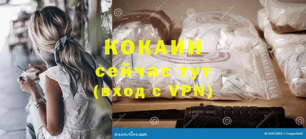 индика Бородино